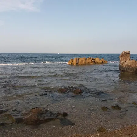 Vinas * دينايا