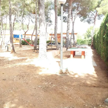 Apartment Vinas