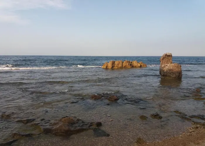 Vinas * دينايا