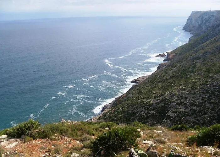 Vinas Апартаменти *